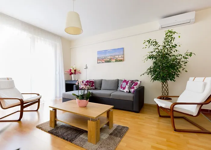 Shr Budapest Orchidea